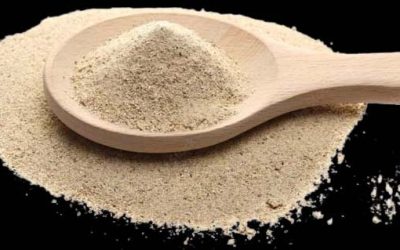 ওয়েস্টার মাশরুম পাউডারের গুণাবলী