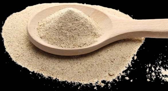 ওয়েস্টার মাশরুম পাউডারের গুণাবলী