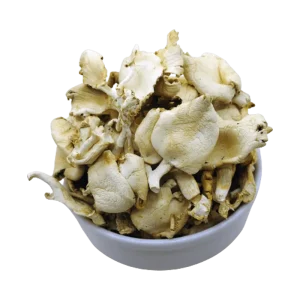 Dried Oyster Mushroom